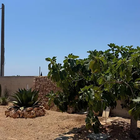 Casa Magnasoru, Salento Oasis
